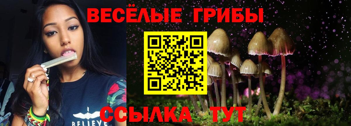 Добрянка  Псилоцибиновые грибы Psilocybine cubensis  Вход с VPN 